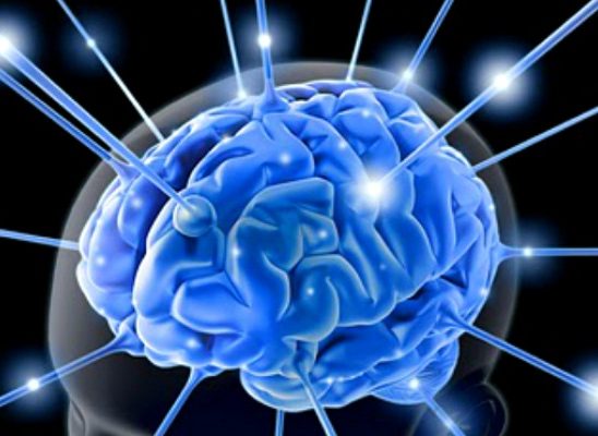 Doza nauke i kulture: Zanimljive činjenice o ljudskom mozgu