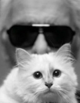 Da li ste znali: Karl Lagerfeld posvetio knjigu svojoj mački!