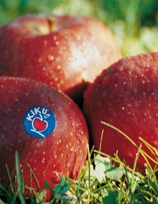 Šta su Kiku jabuke i šta ih čini tako posebnim?