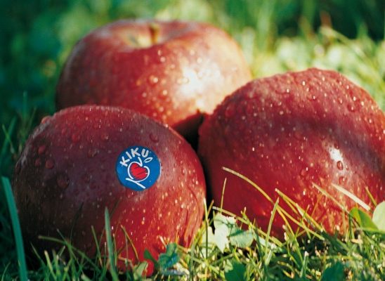 Šta su Kiku jabuke i šta ih čini tako posebnim?