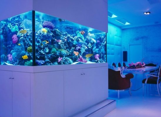 Enterijer: Najlepši sobni akvarijumi na svetu