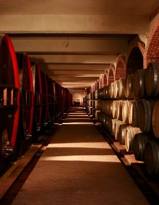 Tikveš vino: Svetske nagrade za vrhunski kvalitet