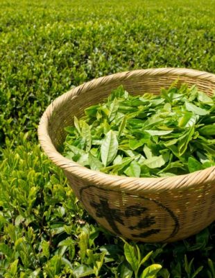 Iznenađenje: Efekti zelenog čaja na lepotu