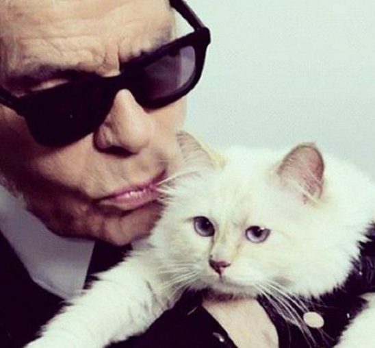 Koliko zarađuje mačka Karla Lagerfelda?