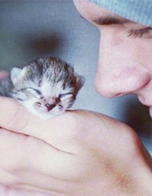 Instagram: Zgodni frajeri i preslatki mačići