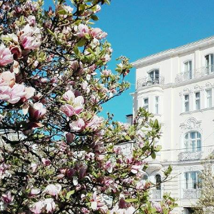 7 razloga da posetite Salzburg ovog leta