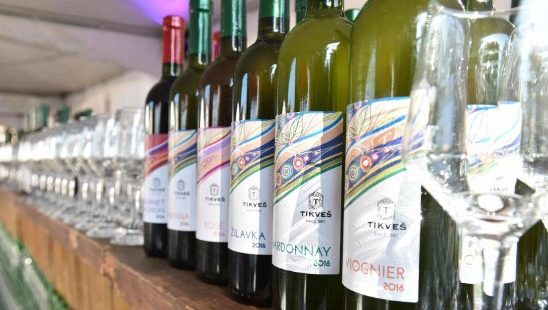 Sedmi Festival mladog vina Tikveš vinarije u sunčanim Kavadarcima