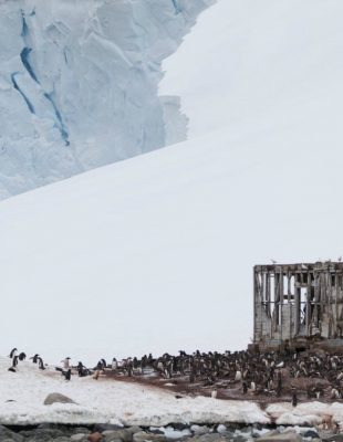 Antarktik, poslednja divljina na Zemlji