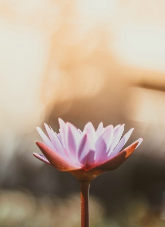 Zašto je važno da znaš neku tehniku opuštanja i da je redovno praktikuješ?