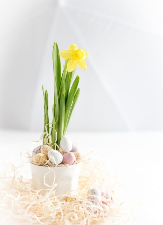 Klimakterični dnevnik: Pred Uskrs