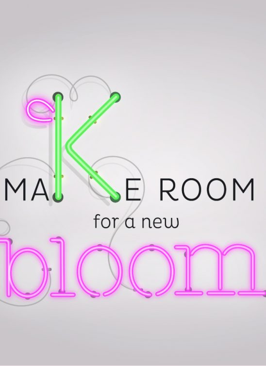 MAKE ROOM FOR A NEW BLOOM: Program edukacije i mentorstva za startape na festivalu KAKTUS 2019!
