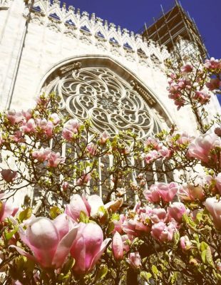 5 najlepših katedrala na svetu