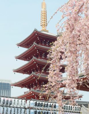 Kulturološke razlike – mudre i korisne stvari koje bi trebalo da naučimo od Japanaca