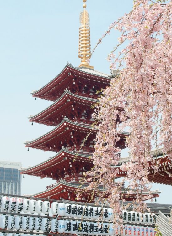 Kulturološke razlike – mudre i korisne stvari koje bi trebalo da naučimo od Japanaca