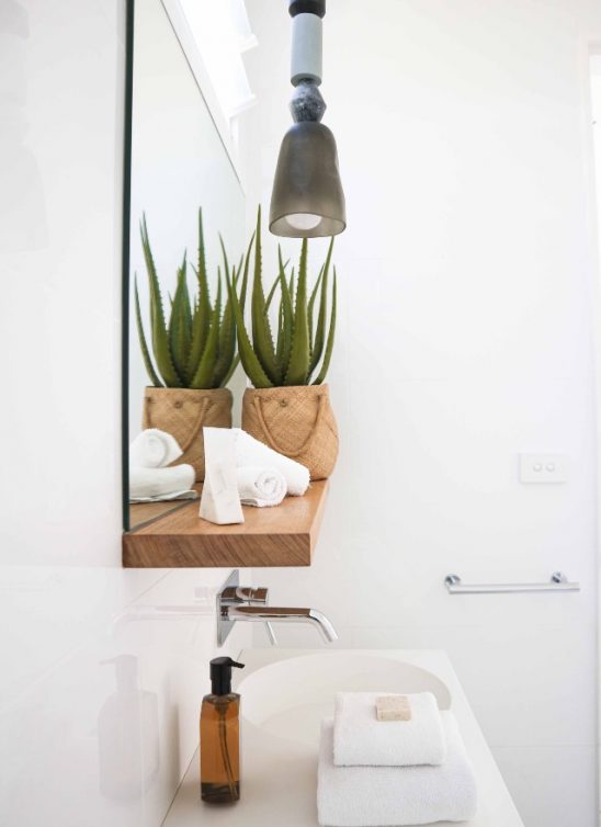 Da li je u aloe veri tajna najzdravije kose?