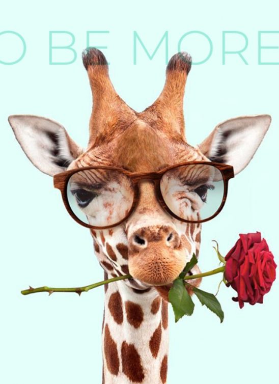 Kreće 3. generacija “eCommerce Akademija” programa