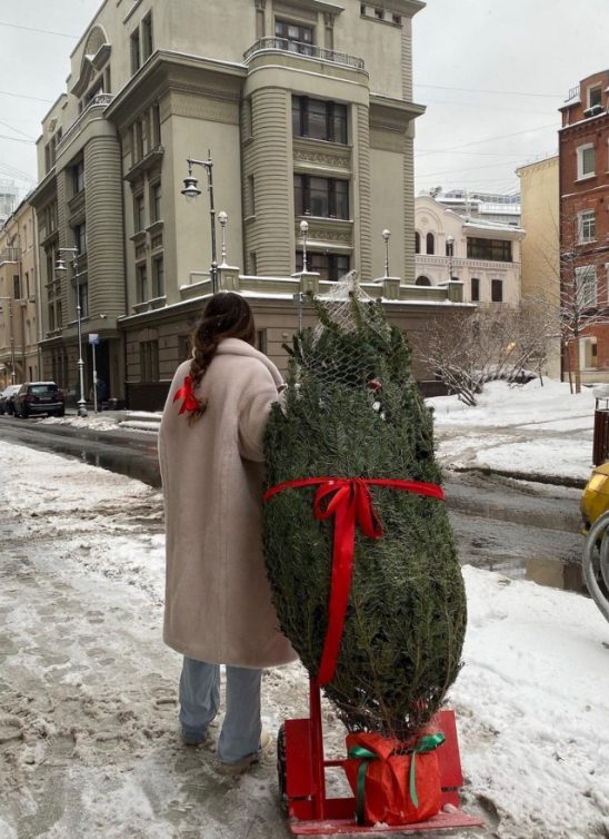 Praznici u znaku – retrogradne Venere!