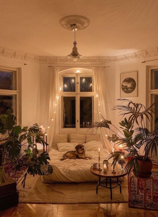 Da li ste sebične ako imate psa, a ne želite da rodite dete?