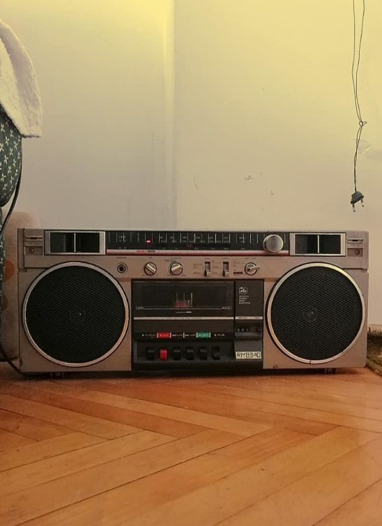 Mojih 8 selidbi – preparirani orao i tange ispod kauča (1. deo)