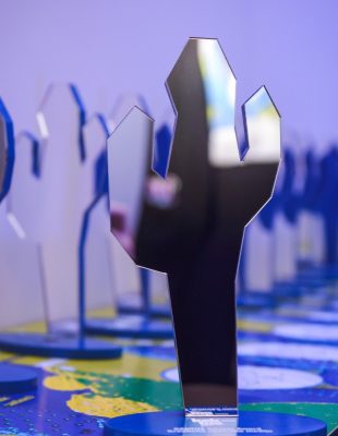Kaktus 2022 nagrade dodeljene najuspešnijim projektima, timovima i pojedincima