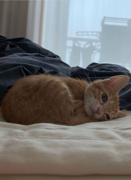 Zakazivanje vremena za brigu može smanjiti stres i olakšati život, a evo i kako