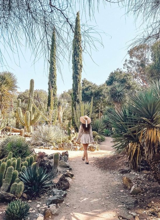 Istražite drugu stranu putovanja: Besplatne aktivnosti koje možete da probate na odmoru