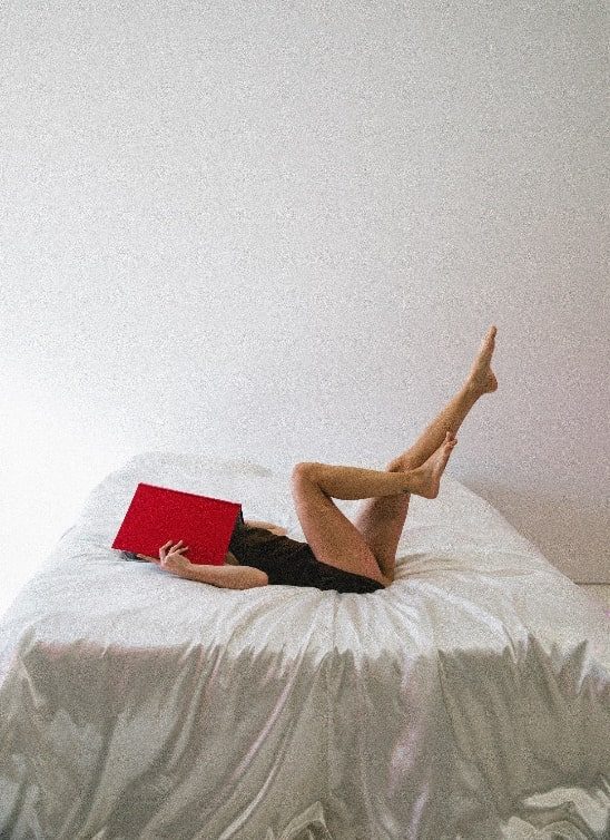 Mesečni horoskop za decembar 2025: Bik