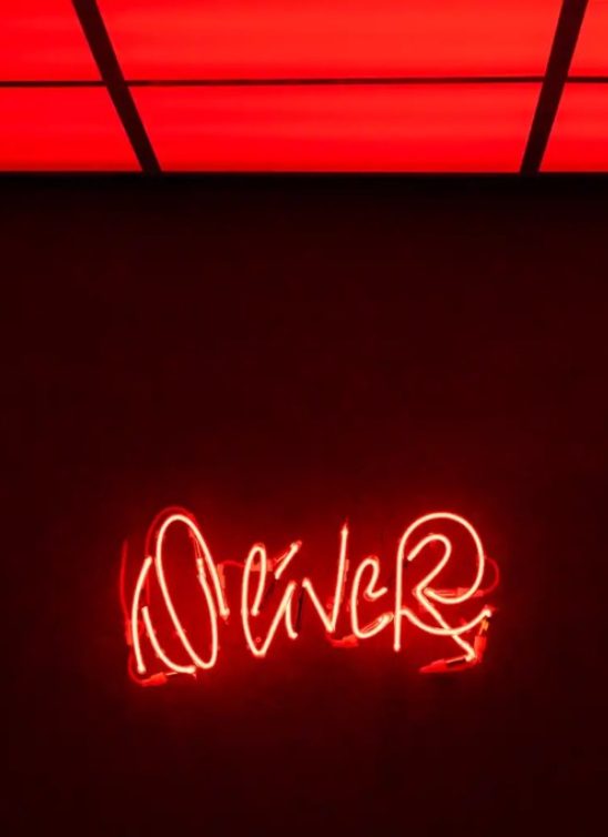 Oliver je nova beogradska adresa za organska vina i kuriranu selekciju etiketa